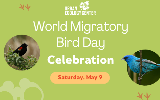 Milwaukee World Migratory Bird Day Celebration